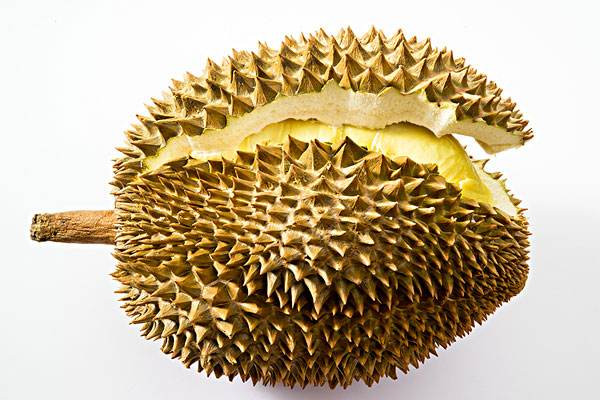 吃不完的榴莲怎么保存(吃不完的母乳怎么保存)