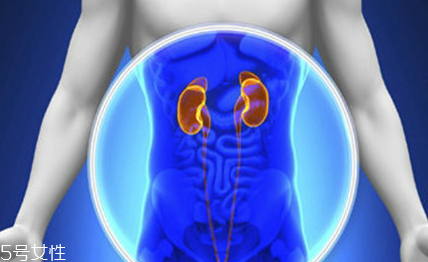 这些方法助你远离肾病(肾病的好方法) 这些方法助你远离肾病(肾病的好方法)