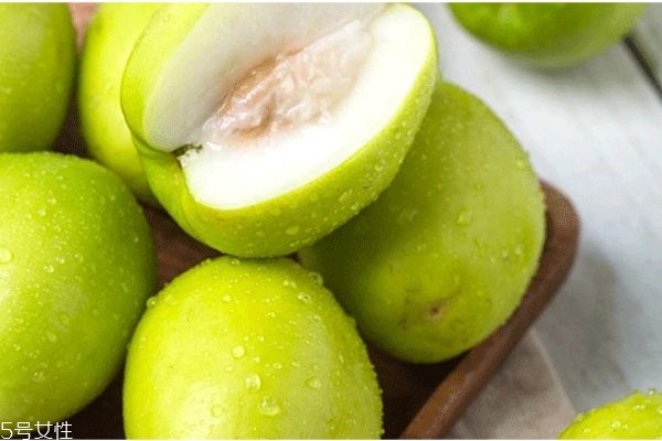 青枣的食用禁忌,吃青枣的禁忌