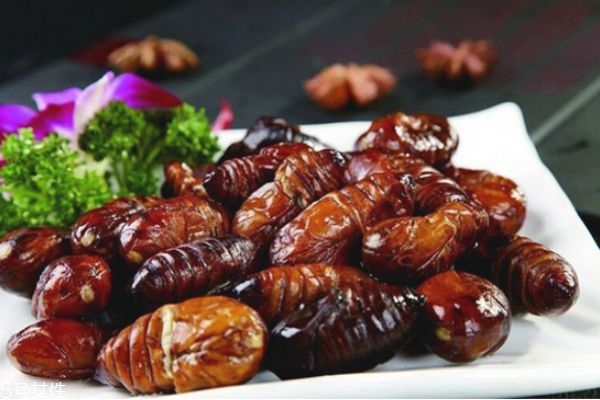 孕妇吃蚕蛹的好处,孕妇吃蚕蛹的好处和坏处