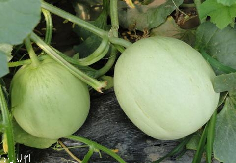 达克宁治股藓吗(达克宁治股藓吗) 达克宁治股藓吗(达克宁治股藓吗)