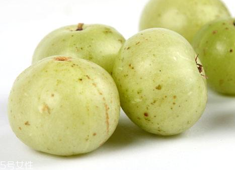 新鲜油柑怎么吃,牛油果怎么吃