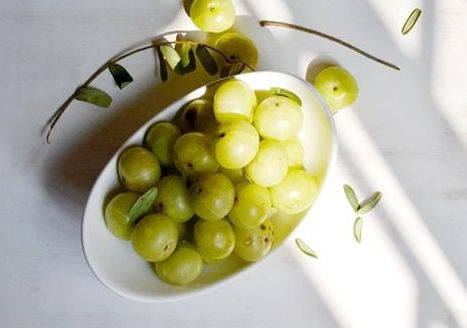 维生素e乳小知识(维生素e乳百科)