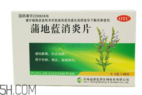 蒲地蓝消炎片是中药吗(蒲地蓝消炎片是中药吗?)