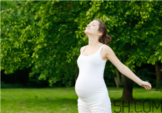 孕妇出门注意事项,孕妇出远门注意事项 孕妇出门注意事项,孕妇出远门注意事项