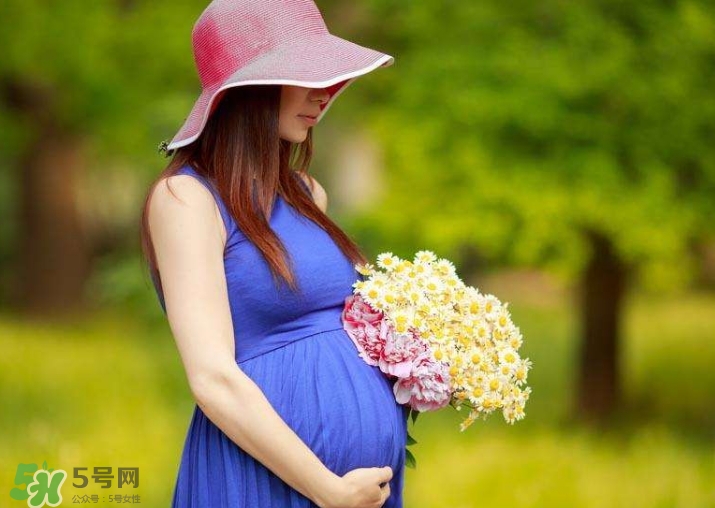 孕妇坐火车吃什么主食,孕妇坐火车吃什么比较好