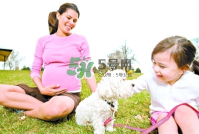 怀孕前养狗了会对孕妇有影响吗,怀孕要远离狗吗