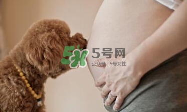 预防弓形虫病,弓形虫防治措施