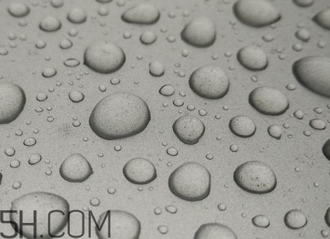 fresh睡莲面霜值得买吗(fresh睡莲面霜和玫瑰面霜哪个好) fresh睡莲面霜值得买吗(fresh睡莲面霜和玫瑰面霜哪个好)