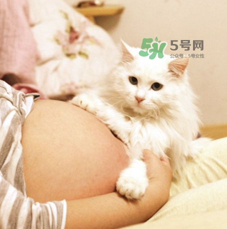 孕妇被猫抓伤了怎么办,孕妇被猫抓伤对胎儿有影响吗没有处理