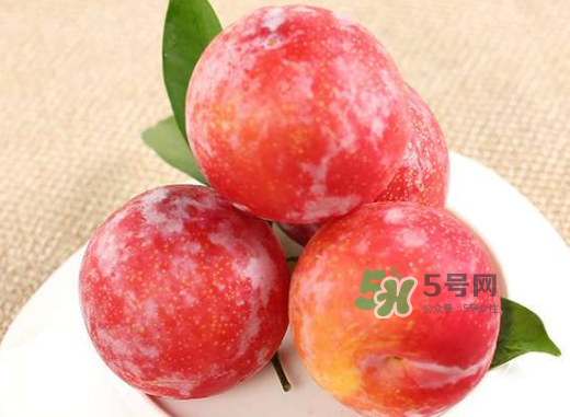 孕妇吃红布林的好处,孕妇能吃红布林吗 孕妇吃红布林的好处,孕妇能吃红布林吗