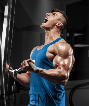 金戈年轻人能吃吗(金戈年轻人能吃吗) 金戈年轻人能吃吗(金戈年轻人能吃吗)