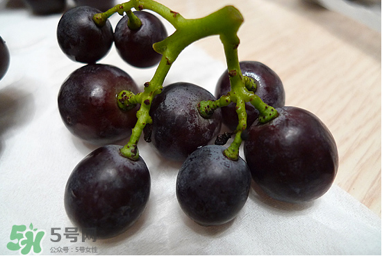 玫瑰香葡萄的特点,玫瑰香葡萄的缺点