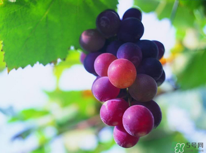 妇炎洁功效及作用(妇炎洁功效和作用)