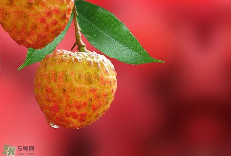 孕妇荔枝吃多了会怎样,吃荔枝吃多了会怎样