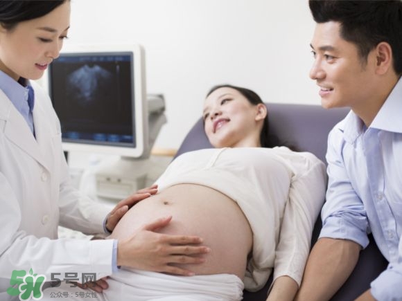 怀孕中期需要注意哪些问题,怀孕中期注意事项和饮食禁忌