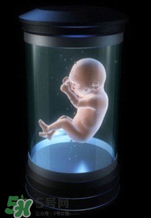 可以人造子宫吗,我国人造子宫问世