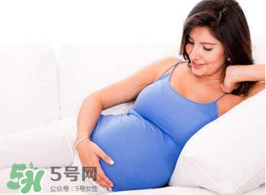 黄唇鱼是什么鱼,黄唇鱼是什么东西