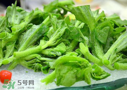 薏仁水新版和旧版区别(薏仁水版本) 薏仁水新版和旧版区别(薏仁水版本)