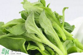 东阿阿胶搭配吃法(东阿阿胶的正确吃法)