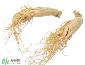 孕妇能吃人参吗?,孕妇能吃人参吗?怀孕期间吃人参好不好?