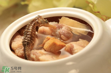 孕妇可以吃海马煲汤吗?,海马炖汤孕妇可以吃吗