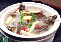 蛋白粉如何挑选(蛋白粉如何挑选)