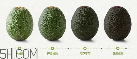 生牛油果怎么保存(生牛油果怎么保存)