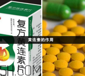 黄连素禁忌(黄连素禁忌什么) 黄连素禁忌(黄连素禁忌什么)