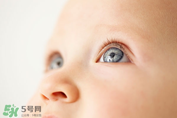 有利于视力的营养素和食物,促进宝宝视力发育的营养元素 有利于视力的营养素和食物,促进宝宝视力发育的营养元素