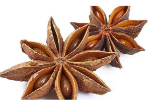 八角的主要产地是哪里呢(八角主要产地在什么地方)