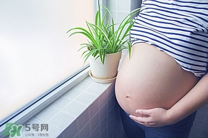 孕妇缺铁的症状及表现,孕妇缺铁性贫血怎么补最快