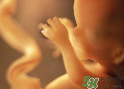 怀孕一个月会有呕吐反应吗,怀孕一个月会孕吐反应吗