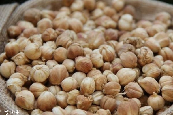 白豆蔻应该怎么吃呢(白豆蔻怎么吃法)