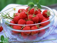 孕妇吃草莓注意事项,孕妇吃草莓要注意什么