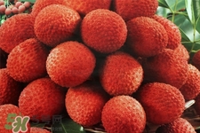 孕期吃荔枝会流产吗,怀孕吃荔枝会流产吗 孕期吃荔枝会流产吗,怀孕吃荔枝会流产吗