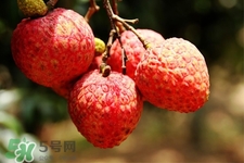 怀孕了能吃荔枝吗?,怀孕不能吃荔枝吗