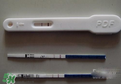 骨折注意事项(骨折注意事项有哪些)