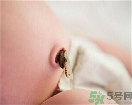 木豆可以怎么食用呢(木豆如何食用)