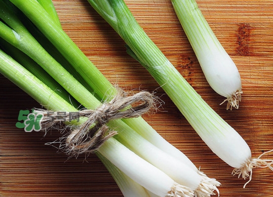大葱和葱黄的区别,大葱和黄葱的区别
