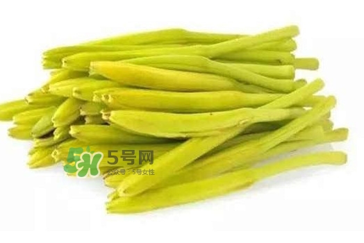 黄花菜是不是金针菜,黄花菜是金针菇吗