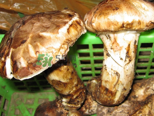 孕妇食谱大全及做法,孕妇餐食谱大全及做法 孕妇食谱大全及做法,孕妇餐食谱大全及做法