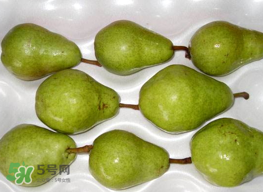 葫芦梨什么时候成熟,葫芦啥时候成熟