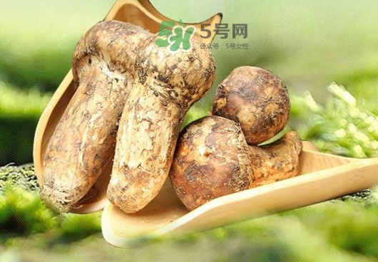 干松茸如何挑选大好还是小好,干松茸如何挑选