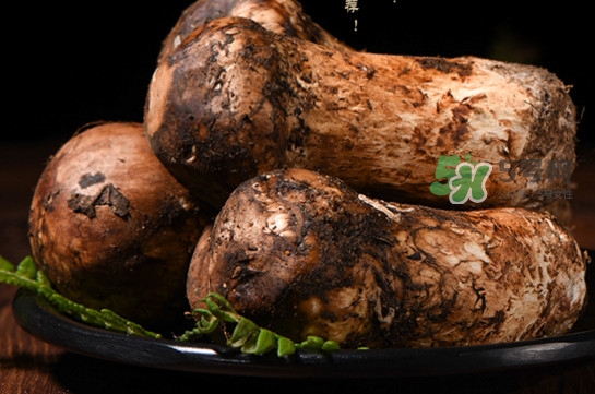 松茸怎么做好吃?松茸的吃法介绍!,松茸怎么做好吃? 松茸怎么做好吃?松茸的吃法介绍!,松茸怎么做好吃?