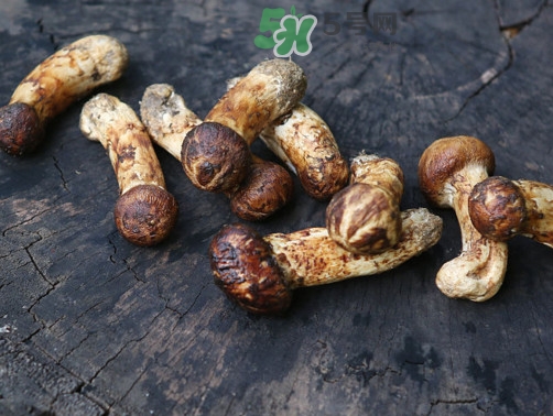 松茸泡酒配方大全,松茸泡酒配方表