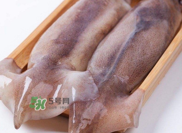 新鲜鱿鱼可以冷冻吗,冰鲜鱿鱼 新鲜鱿鱼可以冷冻吗,冰鲜鱿鱼