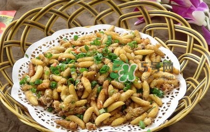 蜂蛹的副作用,吃蜂蛹有副作用吗