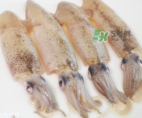 海兔子是墨鱼吗,墨鱼和海兔子的区别 海兔子是墨鱼吗,墨鱼和海兔子的区别