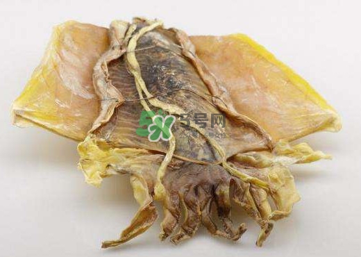 鱿鱼干算是海鲜吗,干鱿鱼是不是海鲜 鱿鱼干算是海鲜吗,干鱿鱼是不是海鲜